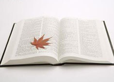 荷兰选手力克对手，获得自行车项目冠军