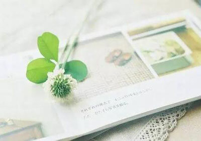 火箭击败步行者，取得四连胜——勇气点燃，未来可期