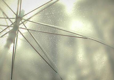 荷兰队壮大实力，晋级欧洲杯预选赛八强